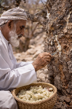 Load image into Gallery viewer, Green Hojari Frankincense sacra resin (Luban) responsibly cultivated from Oman