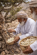 Load image into Gallery viewer, Green Hojari Frankincense sacra resin (Luban) responsibly cultivated from Oman