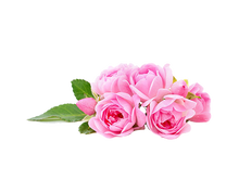 Load image into Gallery viewer, Ward Taifi Rose Essential Oil | Top Grade Rose Otto | Rosa damascena trigintipetala from Taif, Saudi Arabia
