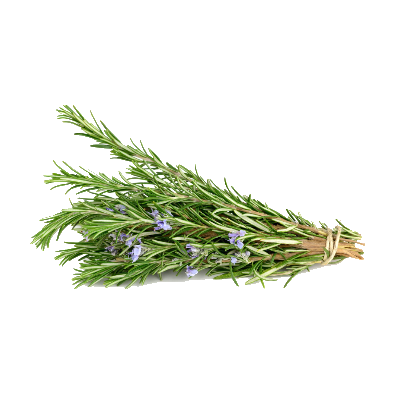 100% Pure & Natural Rosemary Essential Oil - 5ml
