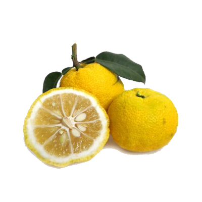 100% Pure & Natural Yuzu Essential Oil - 5ml