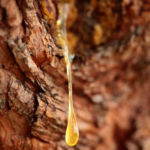 Load image into Gallery viewer, Frankincense (Boswellia sacra) Essential Oil - CLEARANCE!!!
